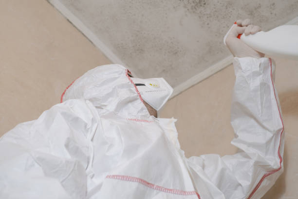 Best Forensic Mold Investigation  in North Lauderdale, FL